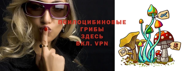 прущая мука Верхний Тагил