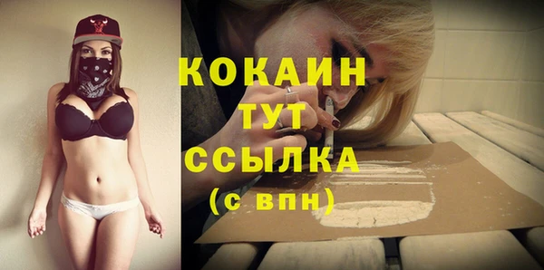 сатива Верея