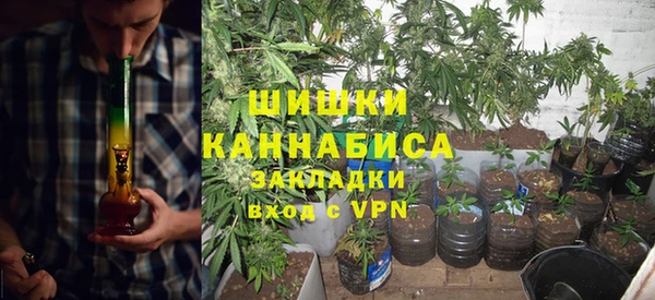 сатива Верея