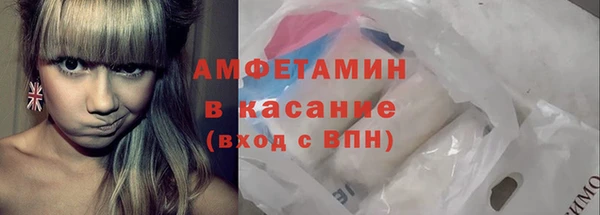 сатива Верея