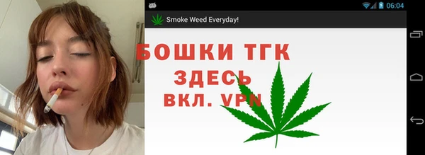 сатива Верея