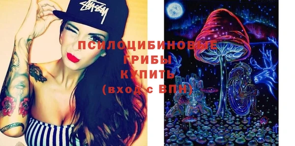 сатива Верея