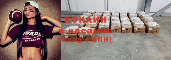 сатива Верея