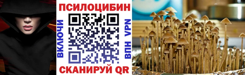 Псилоцибиновые грибы MAGIC MUSHROOMS  Вологда 